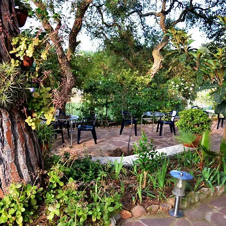 Hostal Magnolia-3